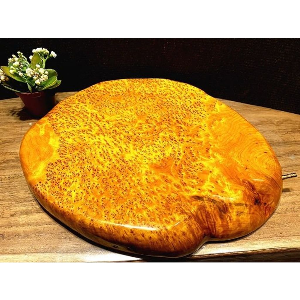 tw-11134207-23020-lf5y8wml9bnv17