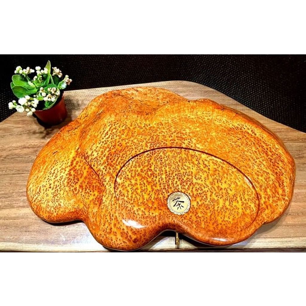 tw-11134207-23020-ovykah2r9bnv91