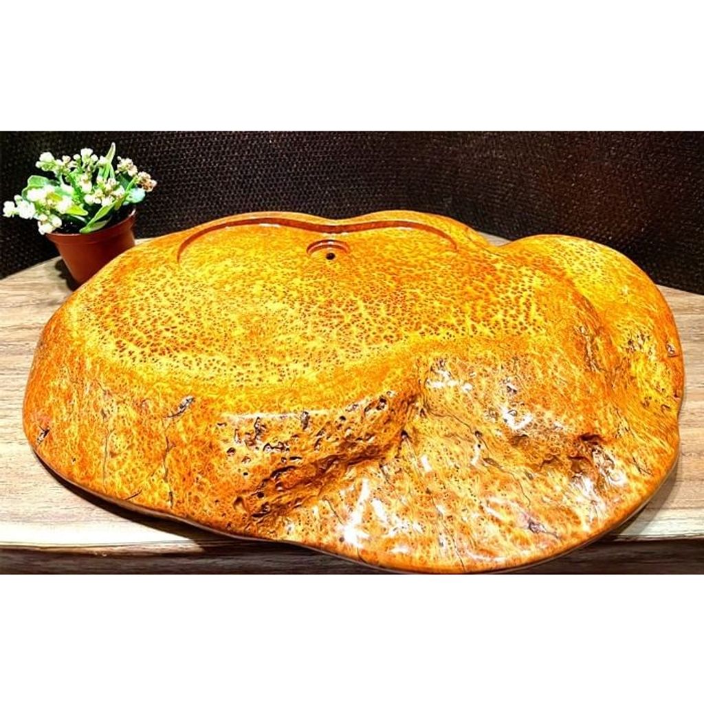 tw-11134207-23020-lfkjah2r9bnv1d