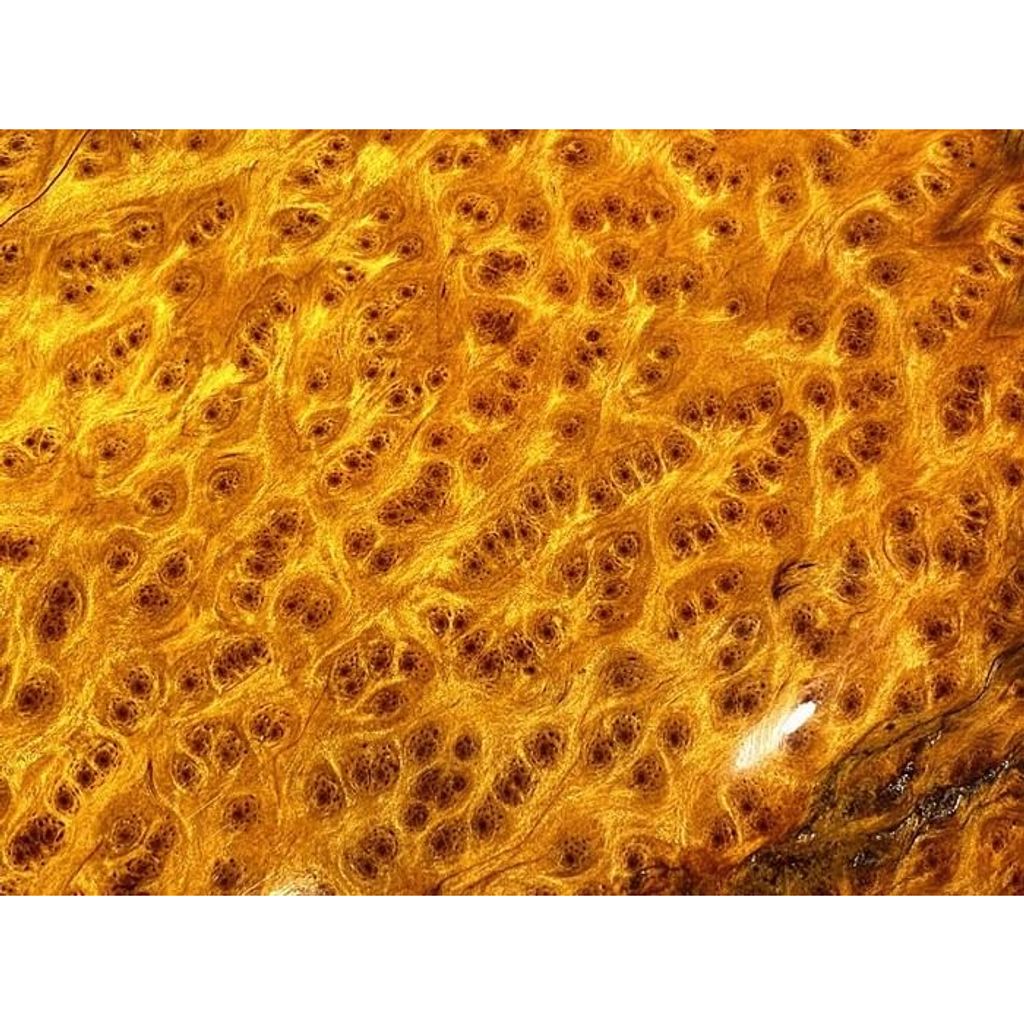 tw-11134207-23020-6ikh7s0i9bnv86