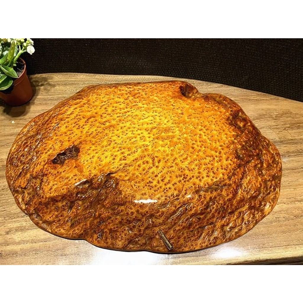 tw-11134207-23020-93pe5u0i9bnv64