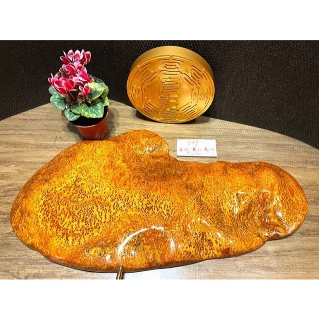 tw-11134207-23020-gpg91gqo8bnvdd