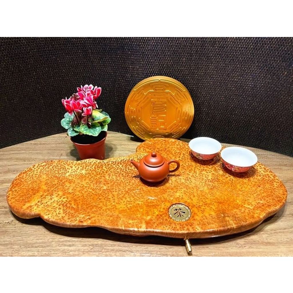 tw-11134207-23020-9328ahqo8bnv55