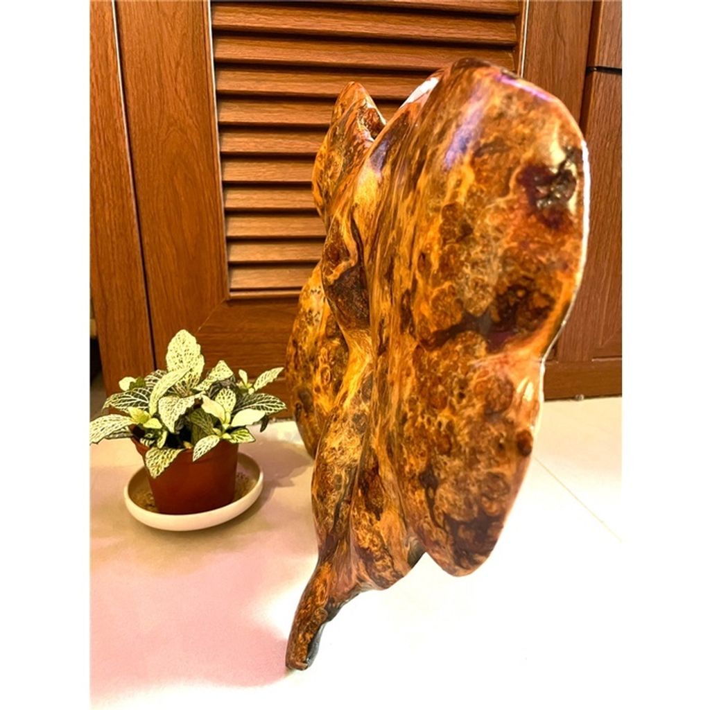 798ab57ab62801db8dbea28a8997bf62