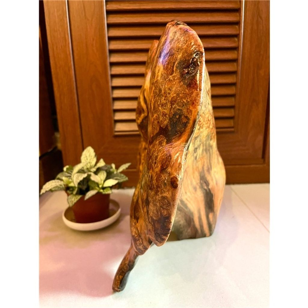 7abf486eb5dff86de13362721af292d3