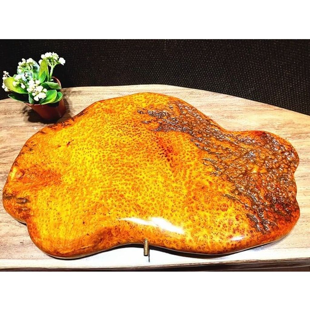 tw-11134207-23020-sqd9j1tn9bnv21