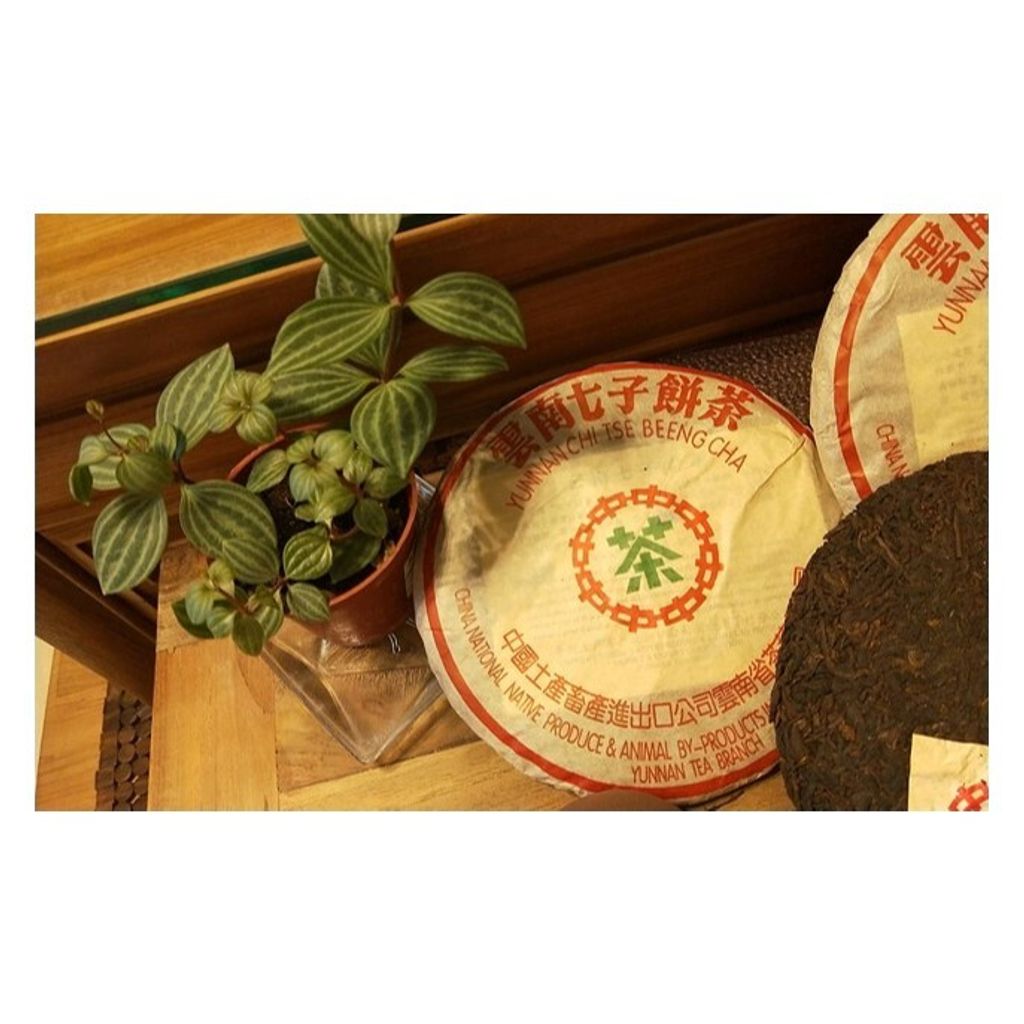 6c1fae1b8a7efe7286985e3d908645da