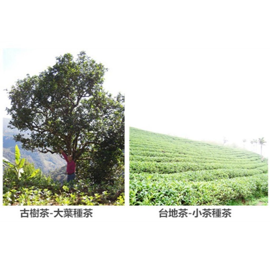 2f0e26d4b5a8ff67757cef422dedf823