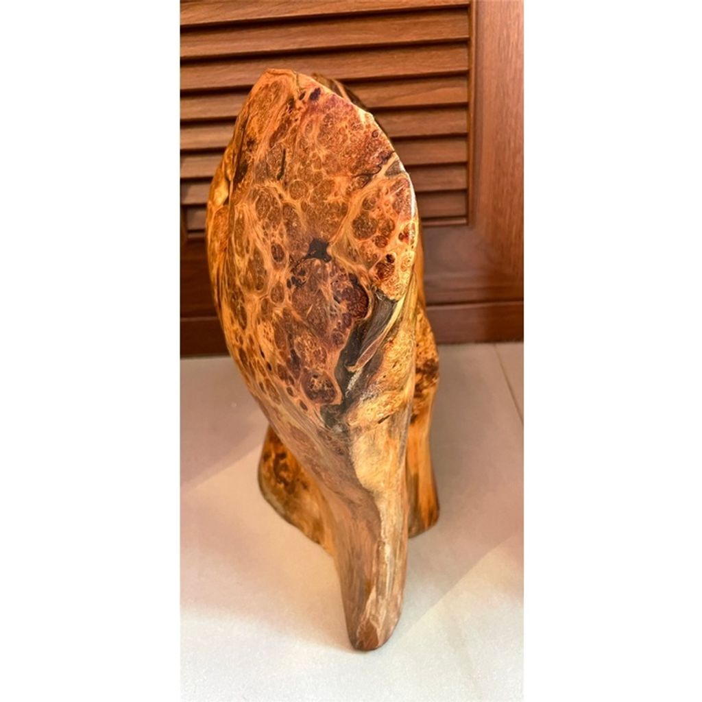 9b6e664668049a6799991d0ee0186fc1