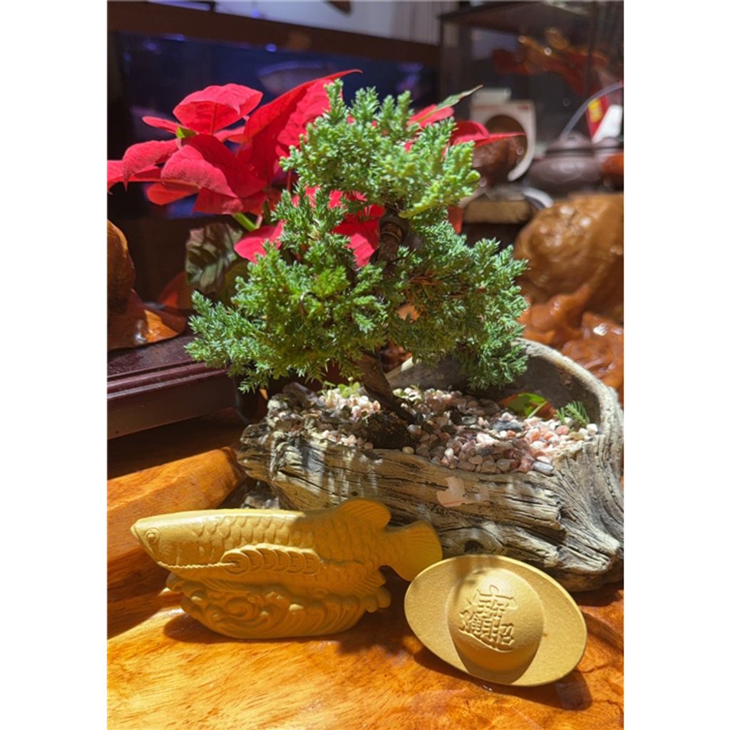 tw-11134207-7rash-m23s8uzdon2c0f