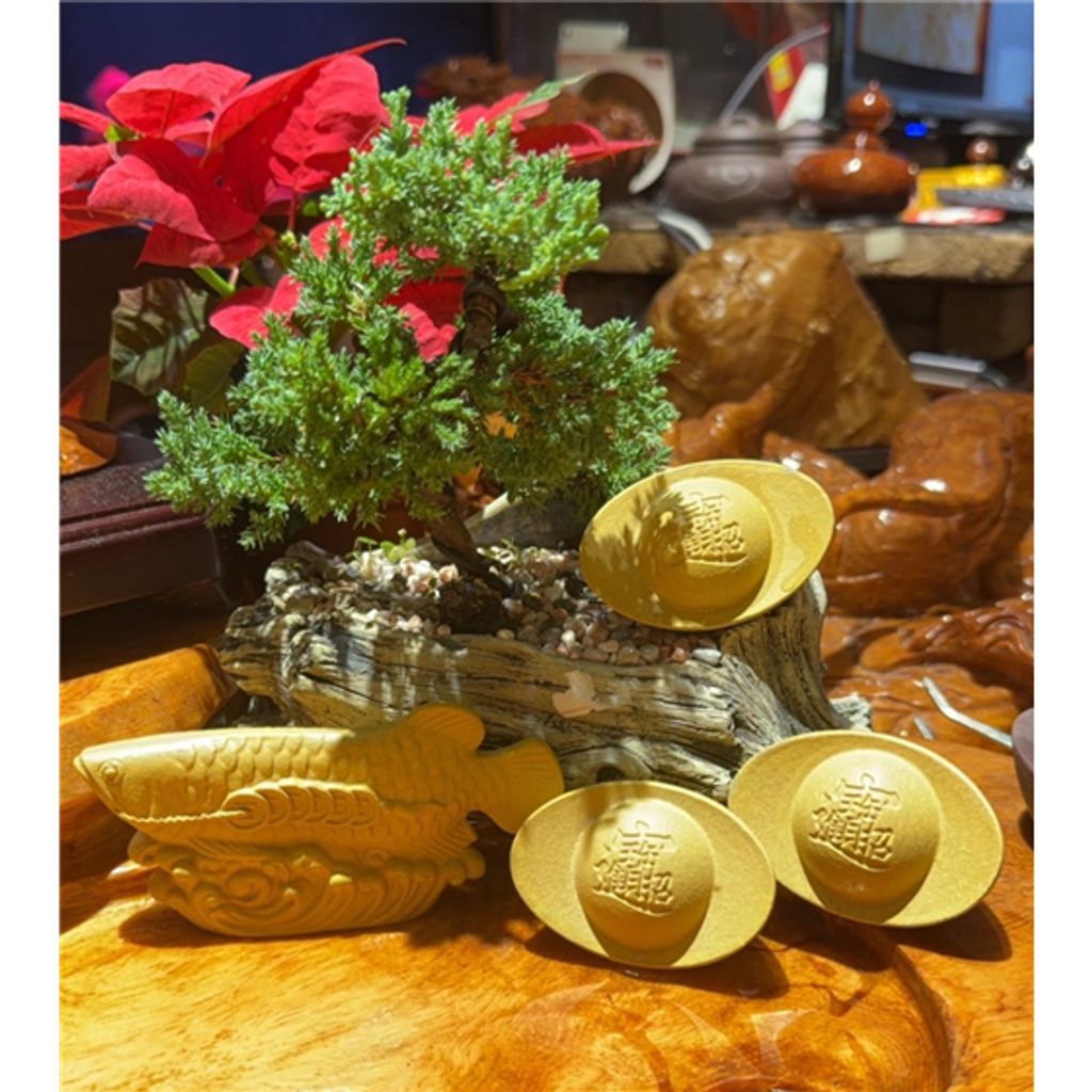 tw-11134207-7rash-m23s8uzdq1ms55