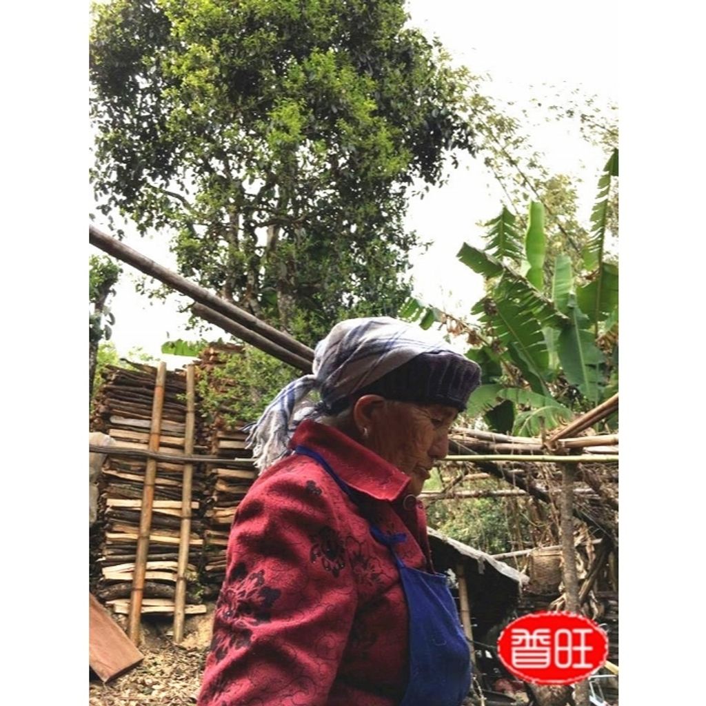 tw-11134207-7rash-m23x72qmylqd21