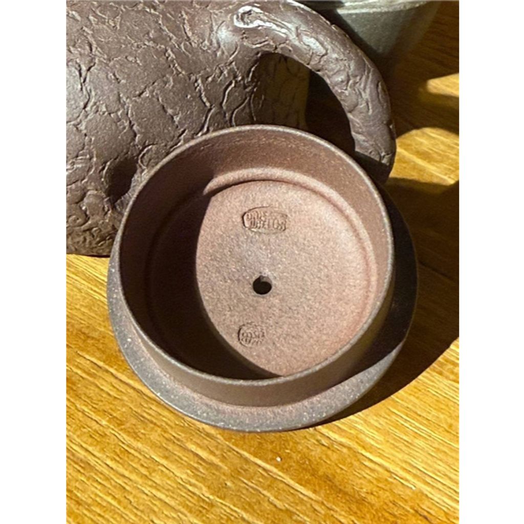 tw-11134207-7rash-m2d8j1fc5nvef2