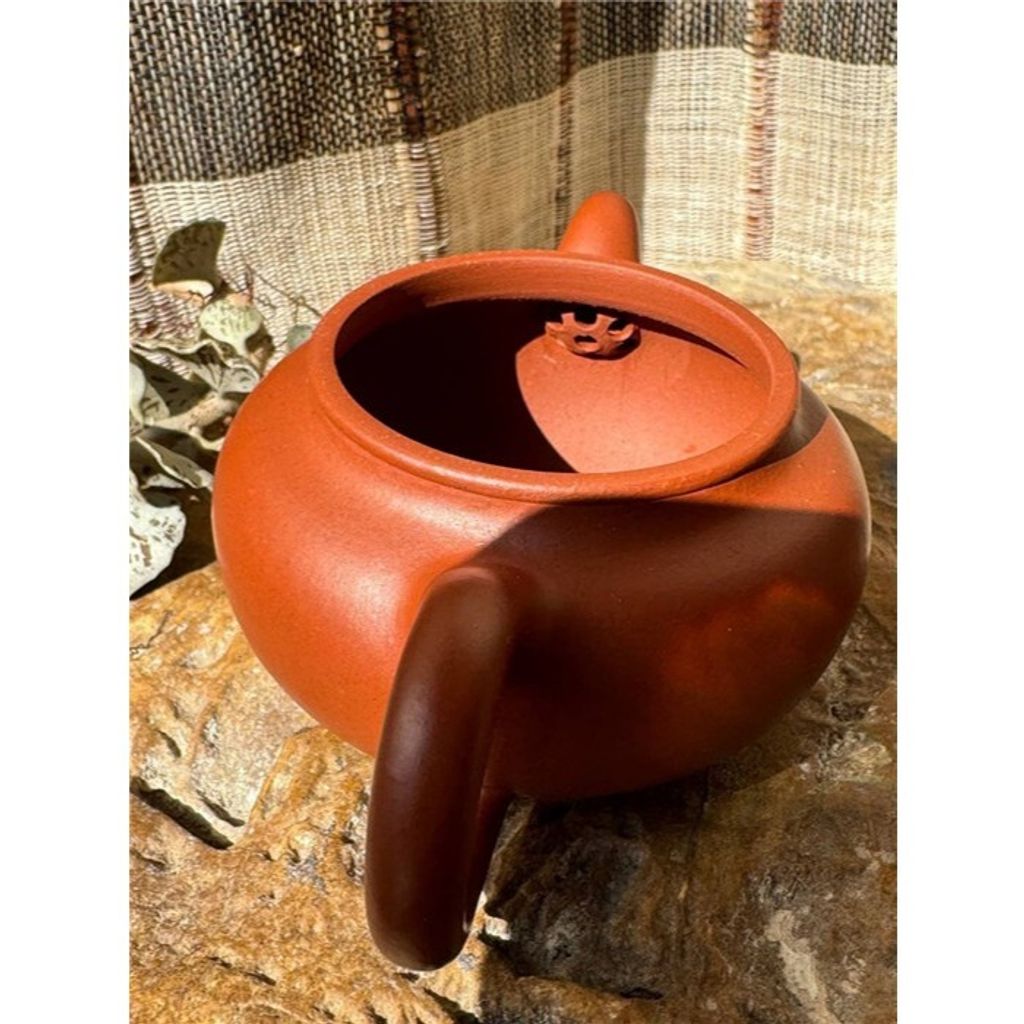 tw-11134207-7rasj-m2nxmbzx2b2jbf