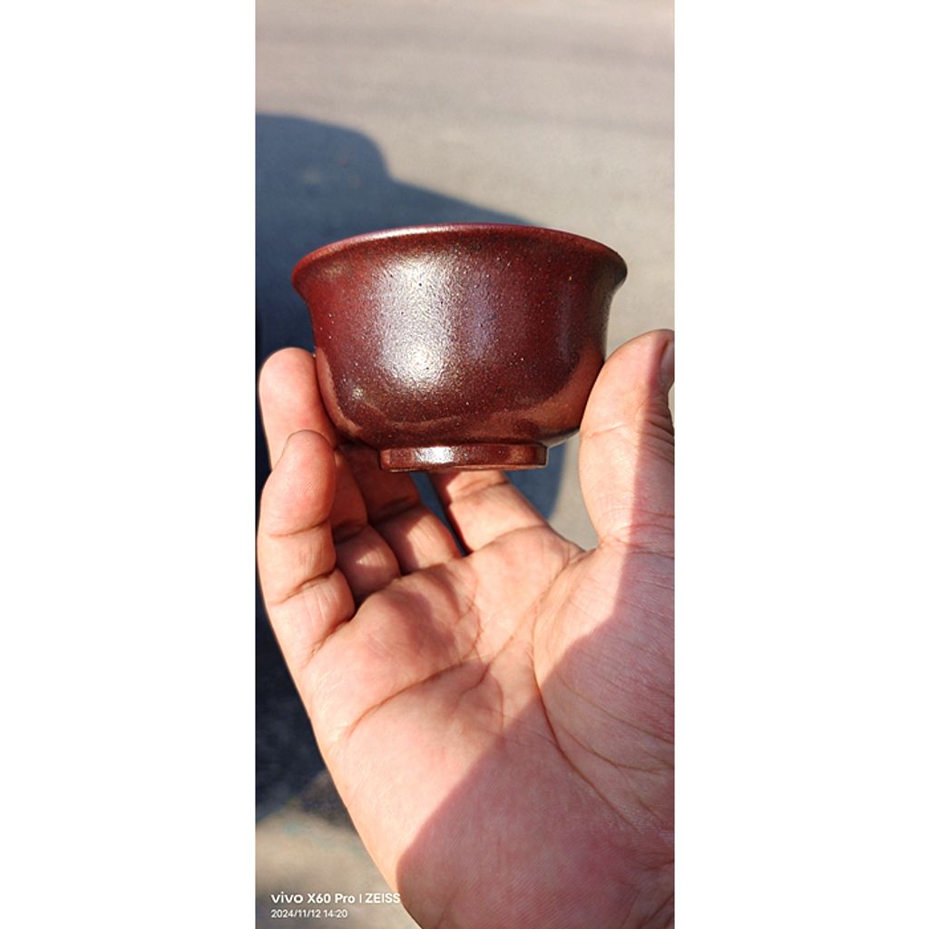 tw-11134207-7rasd-m2s3v6nnyo2zac