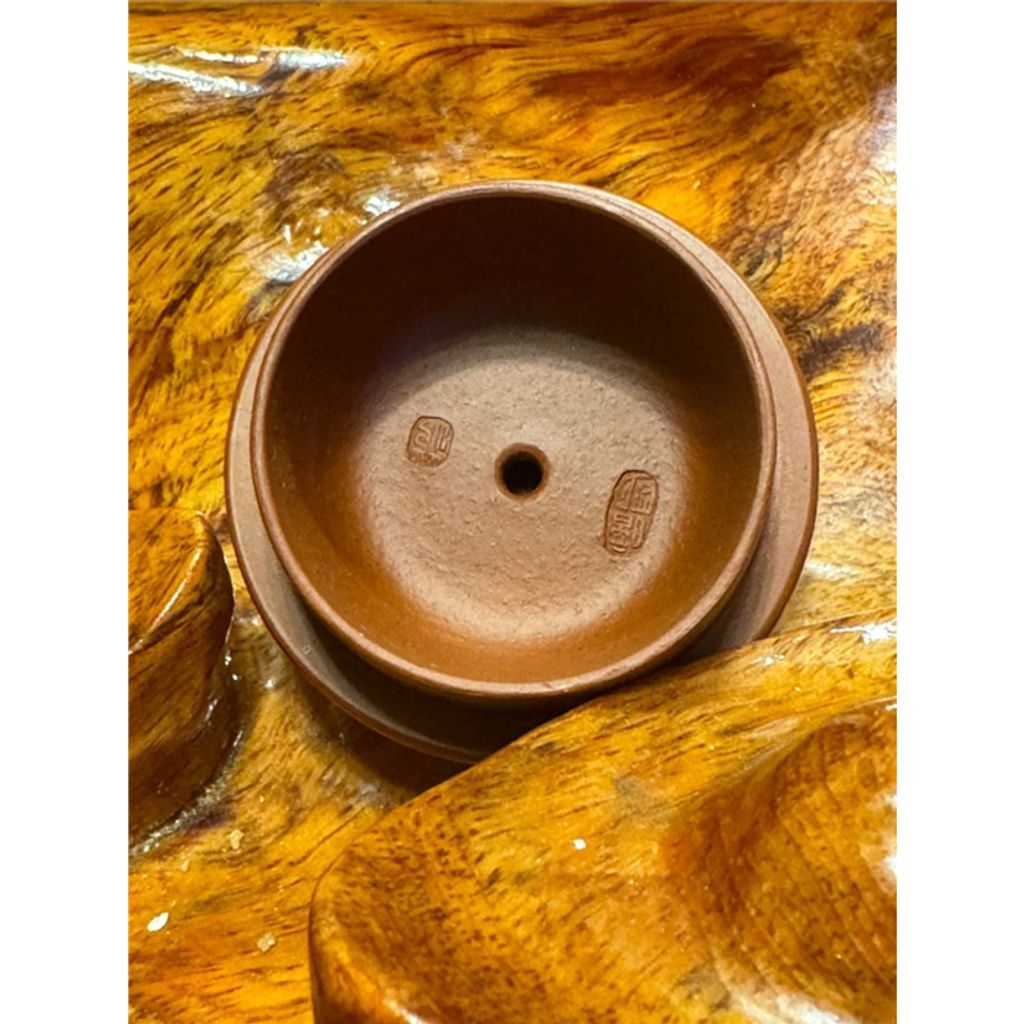 tw-11134207-7rasi-m3xgwd514q3ef0