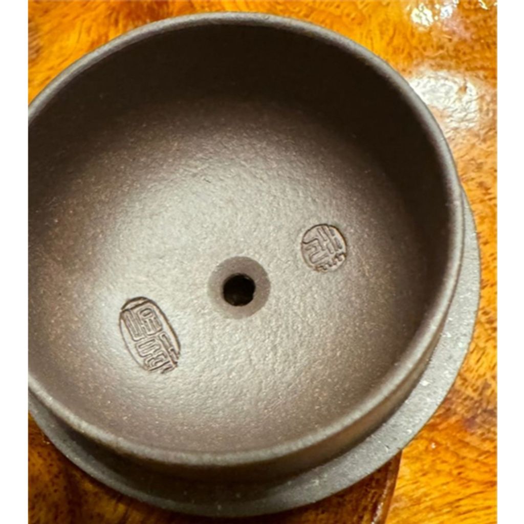 tw-11134207-7rasg-m4dfqbntdtxce1