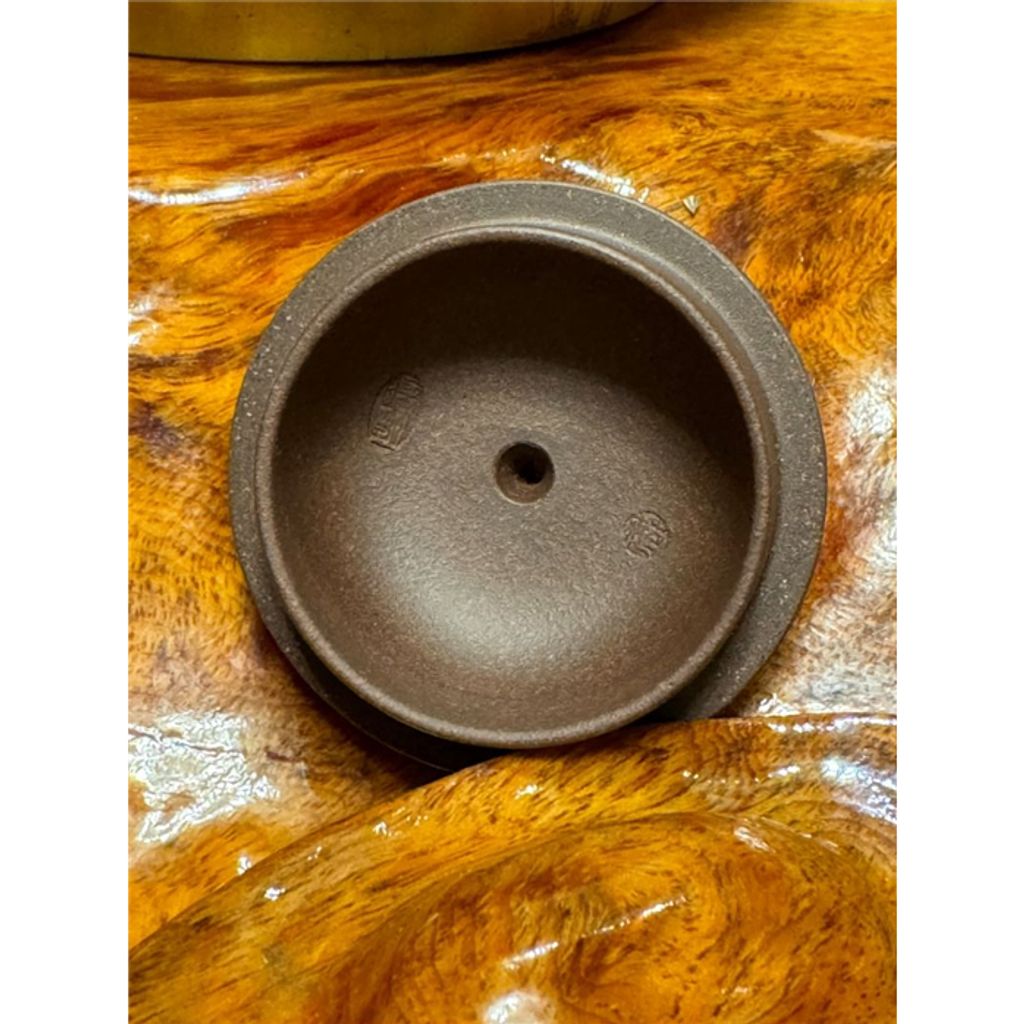 tw-11134207-7rasa-m4dfny8ockmf22