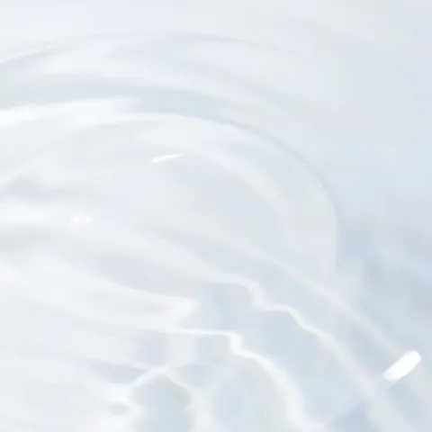 709c03dff0a04
