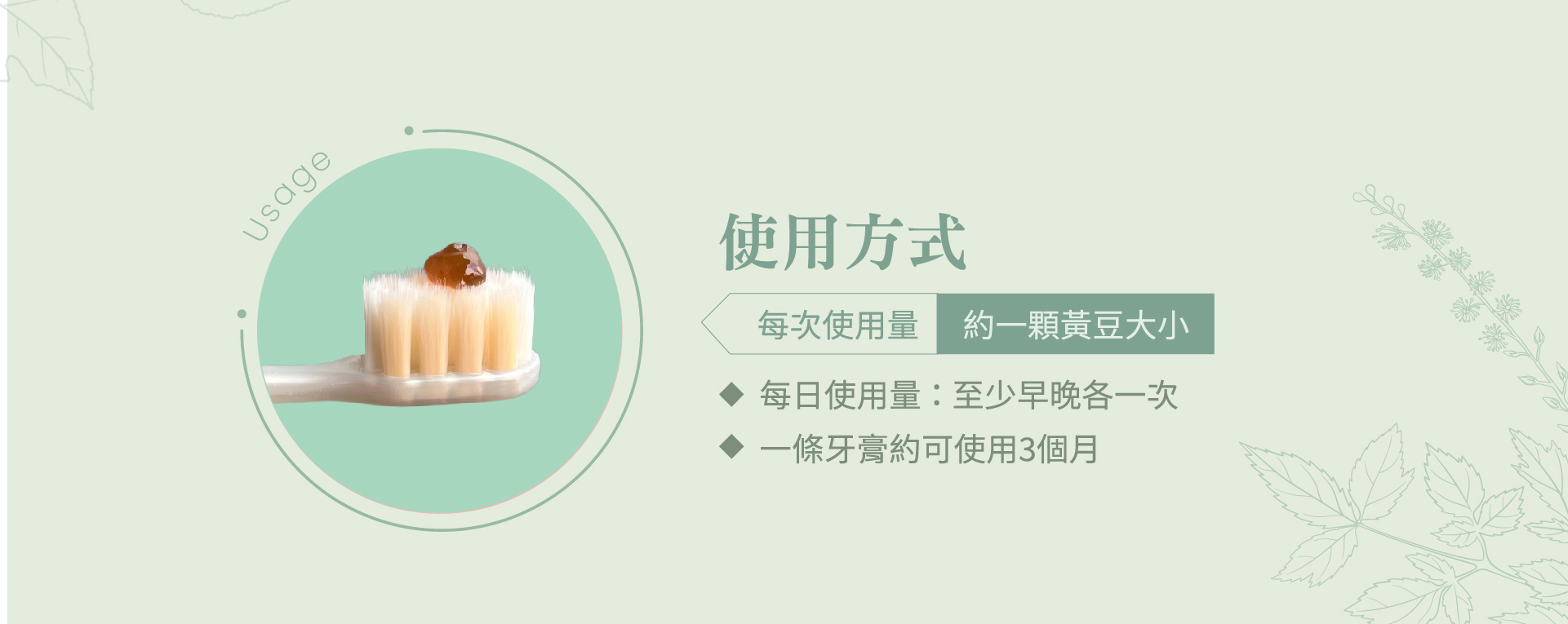  | 愛好牙