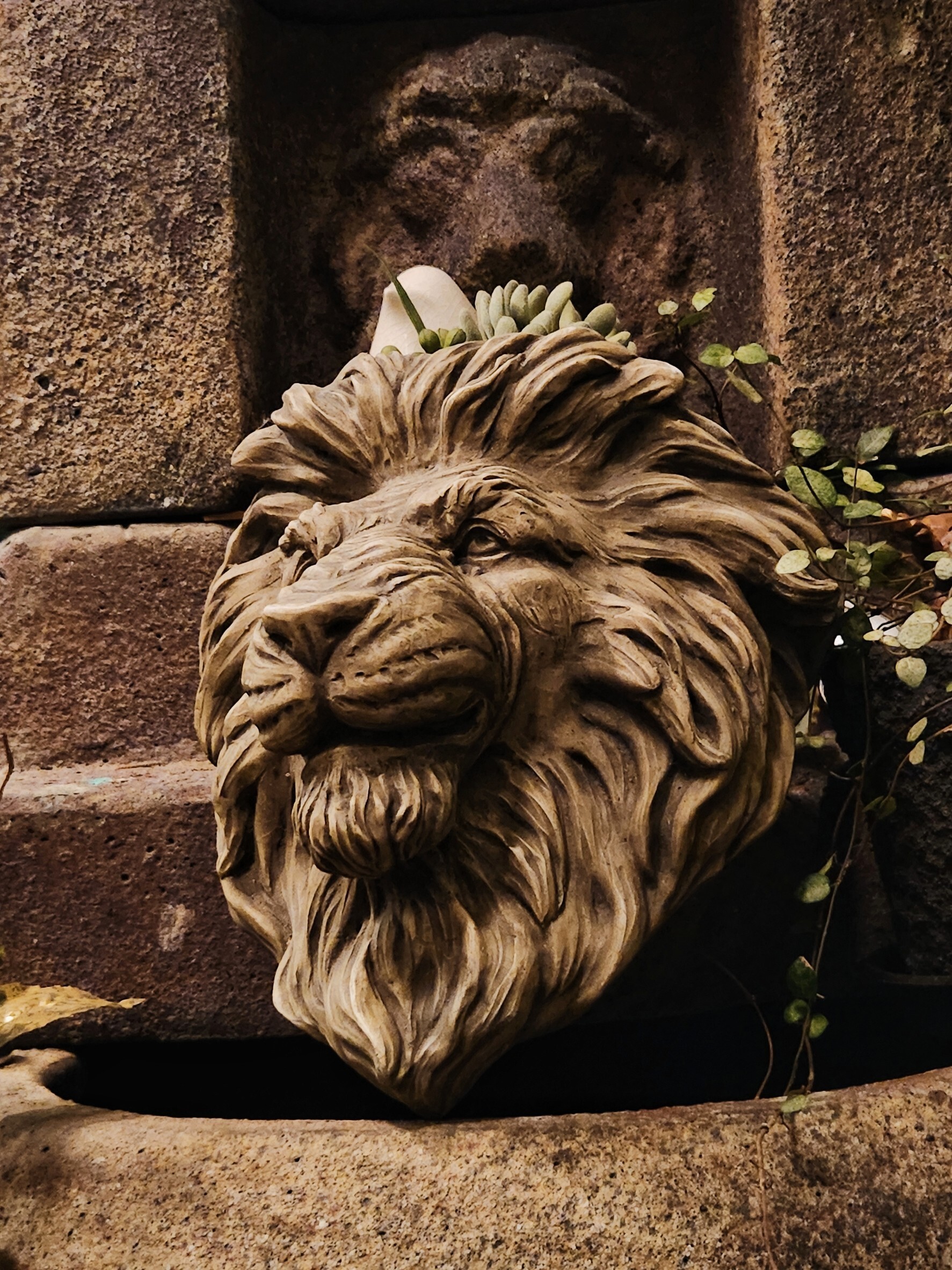 LINE_ALBUM_老物盤點_250125_8