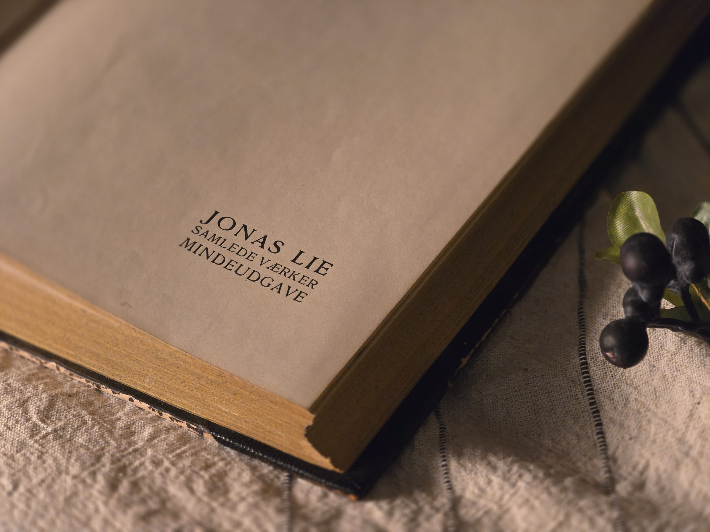 5喬納斯·利  作品集