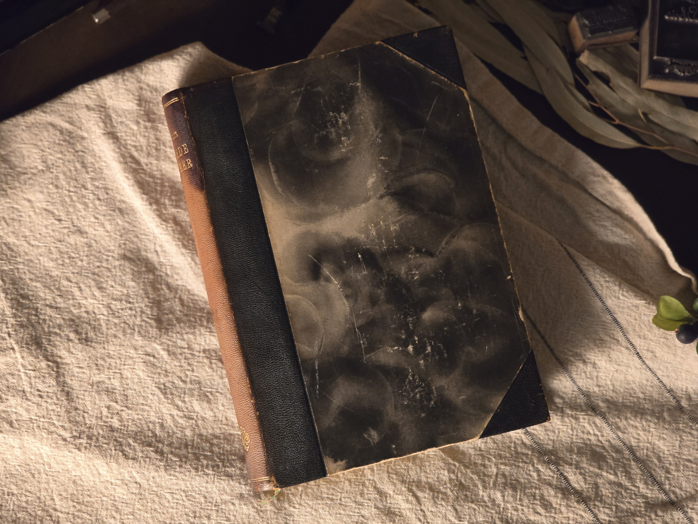 3喬納斯·利  作品集