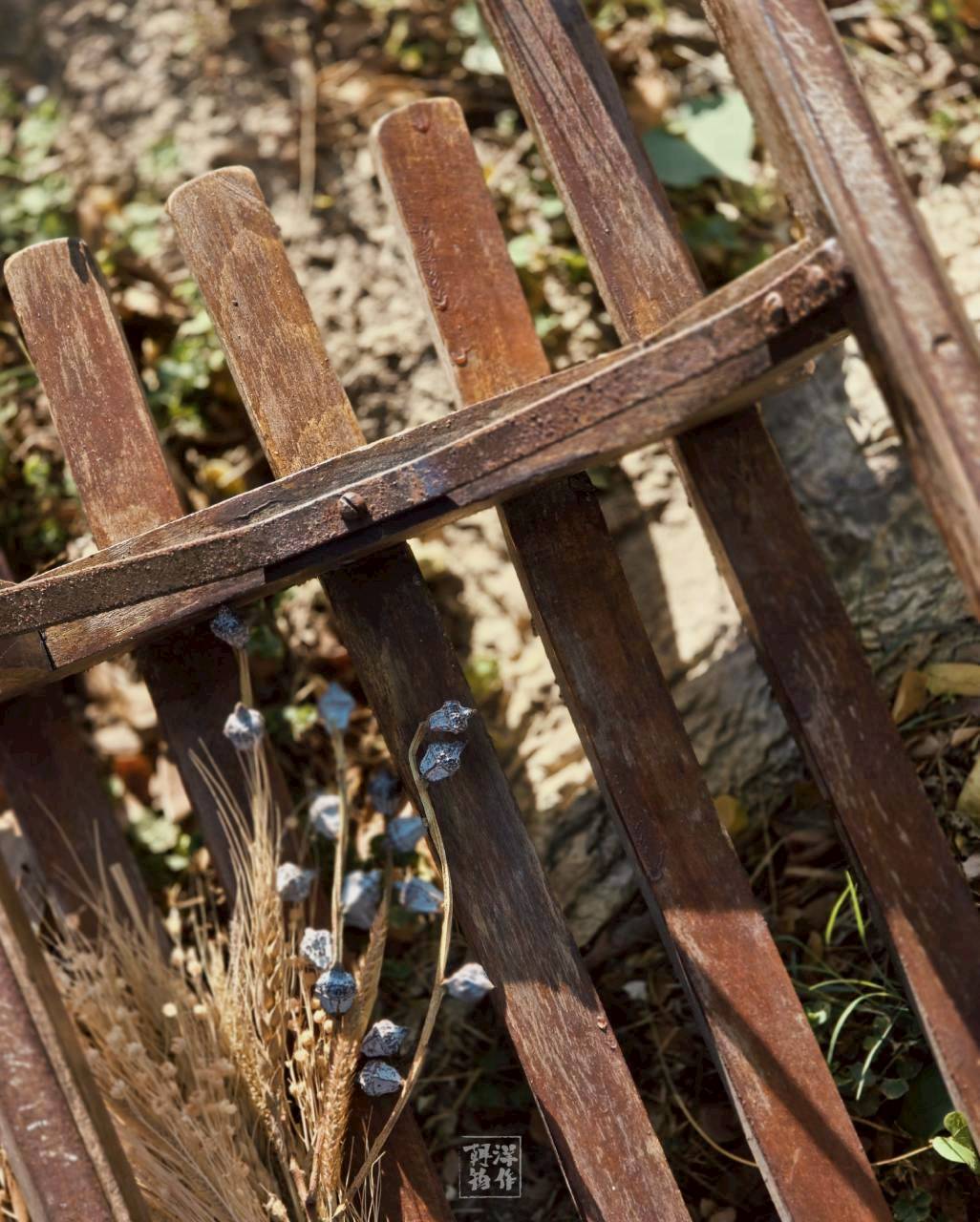 LINE_ALBUM_聖誕系列_251218_10