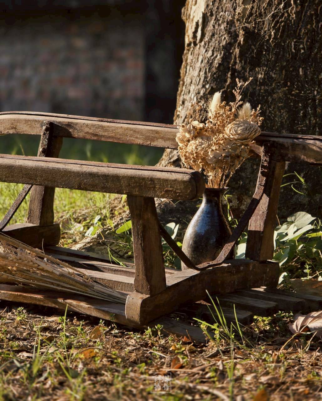 LINE_ALBUM_聖誕系列_251218_13