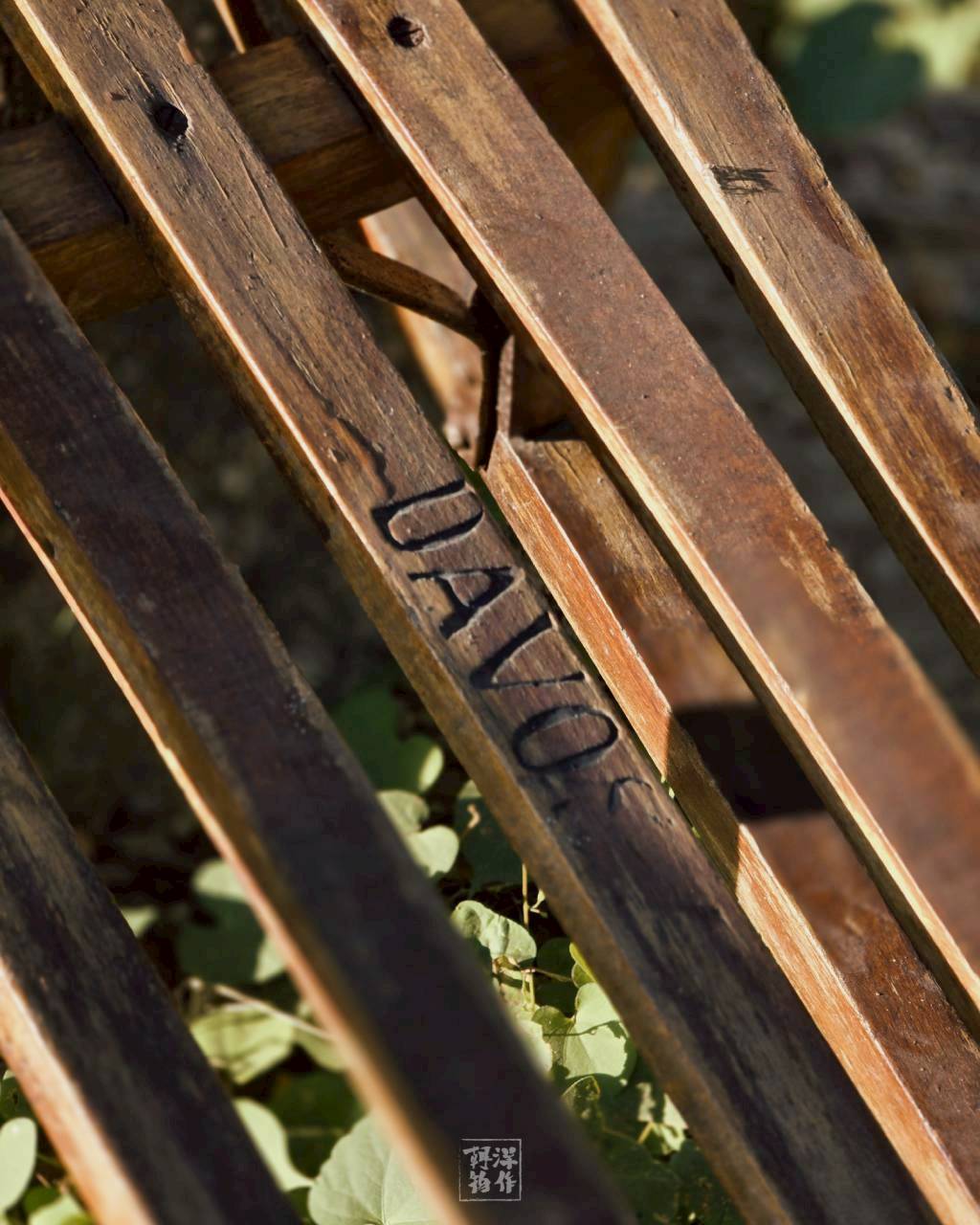 LINE_ALBUM_聖誕系列_251218_12