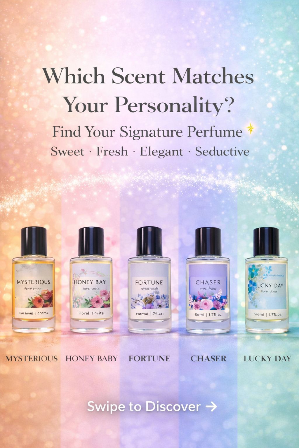 WhatsApp Image 2026-02-19 at 19.27.51