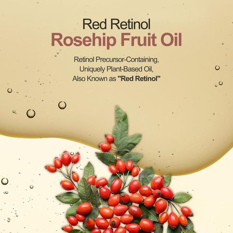 imgi_179_61F1YhWejgL._SL1024_