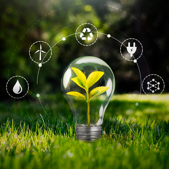  | CITYWELLNESS MALAYSIA