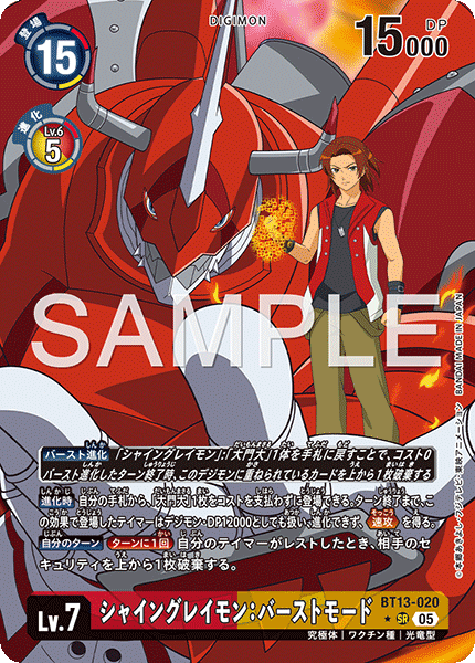 BT13-020_P5