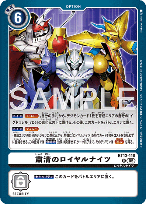 BT13-110_P2
