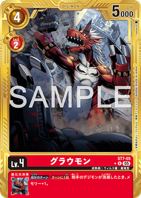 ST7-05_P4
