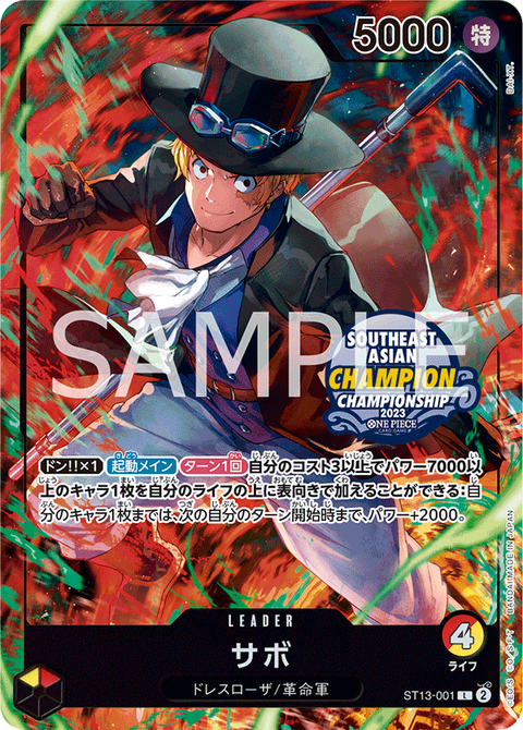 ST13-001_p3