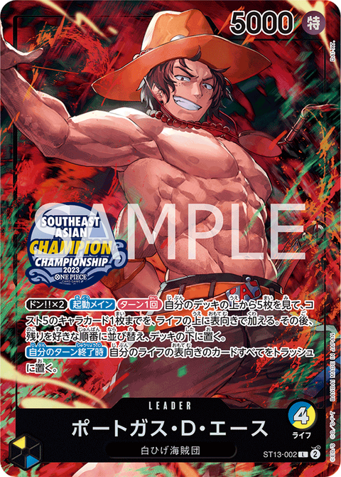 ST13-002_p3