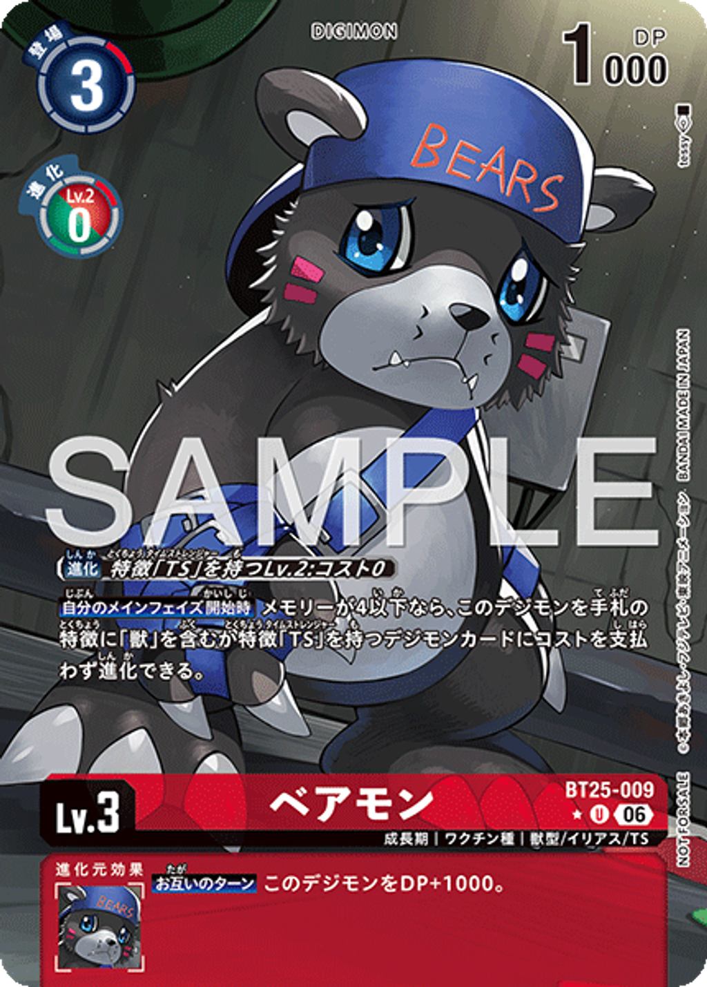 BT25-009_P1