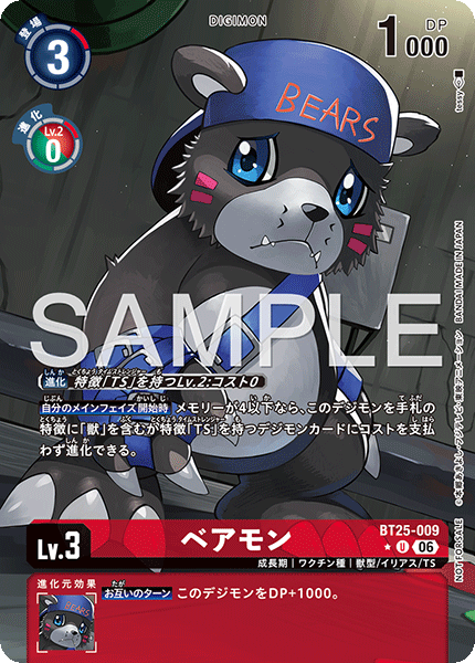 BT25-009_P1