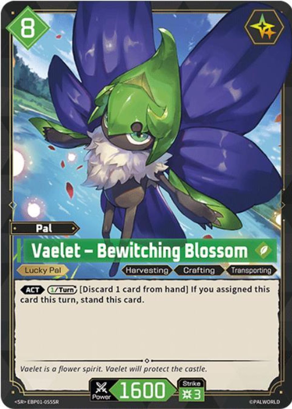 1600