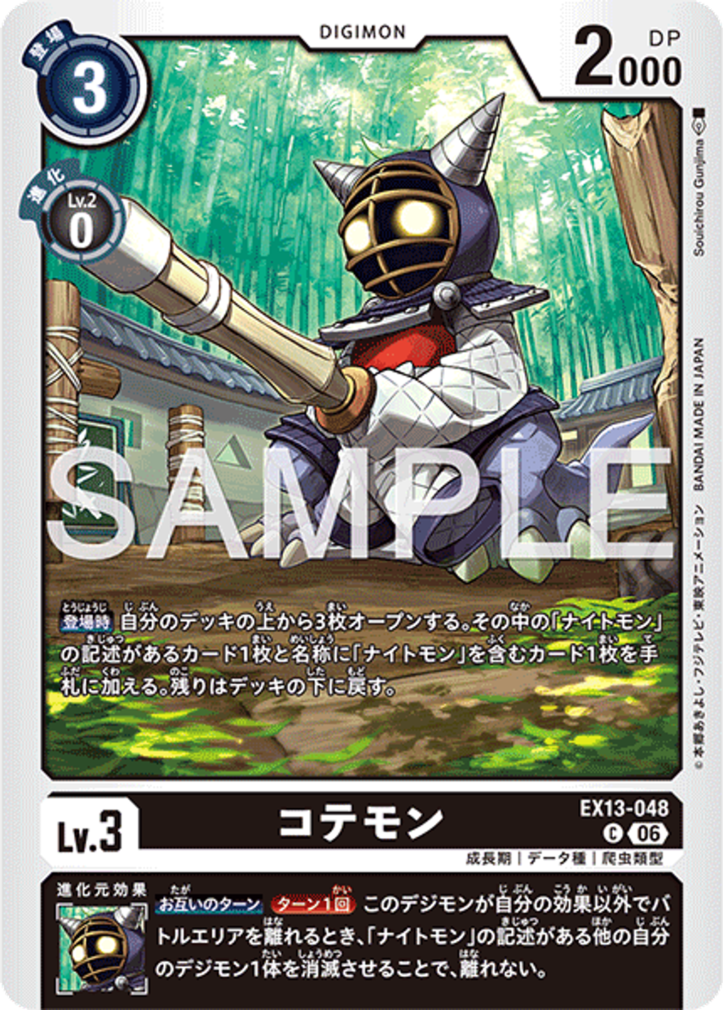 EX13-048