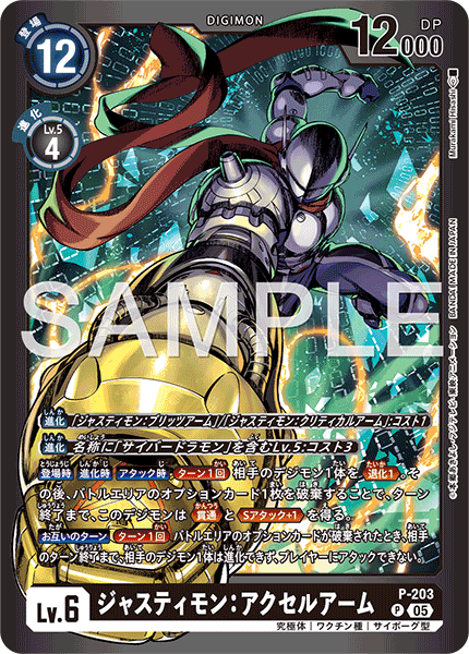 P-203_P2
