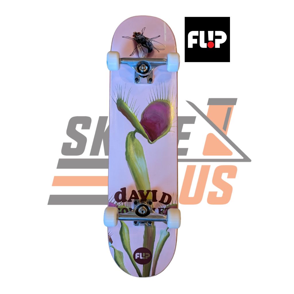 my-11134207-820l4-mlfyxgkr1ceg24