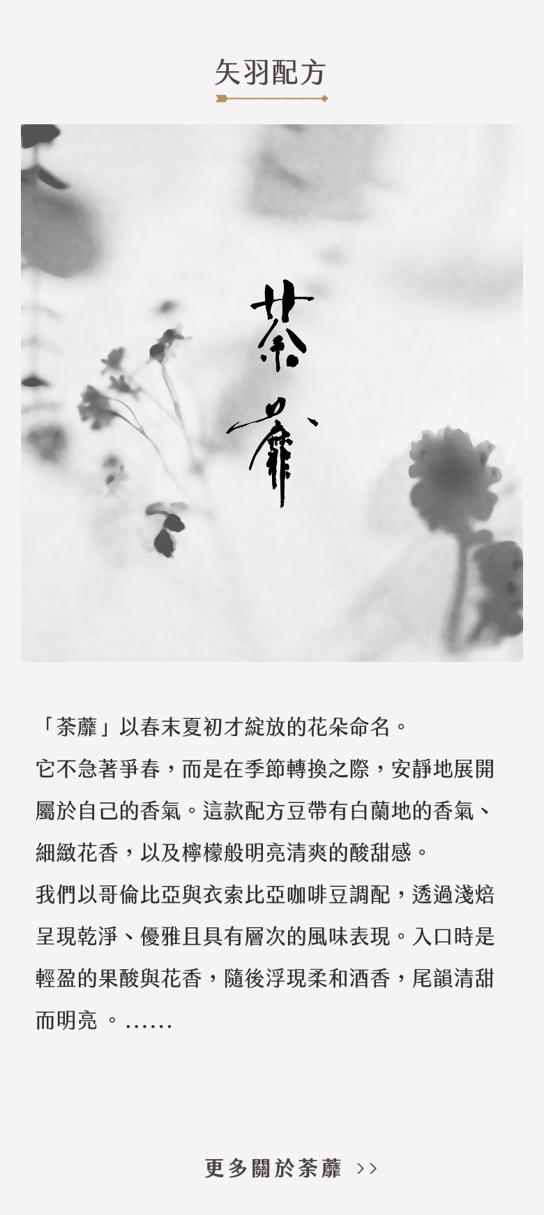  | 矢羽珈琲店 YABANE COFFEE
