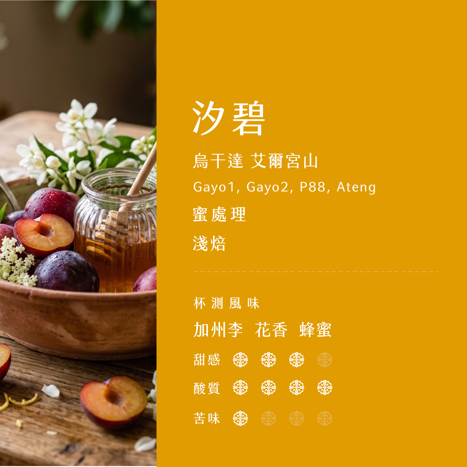 汐碧