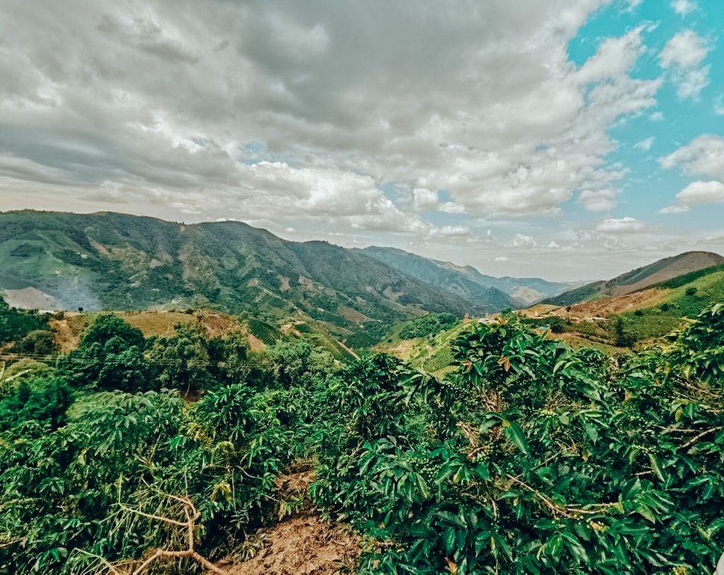 fc9027ab-69ad-46ba-bb7b-0a18c024655b-scaled