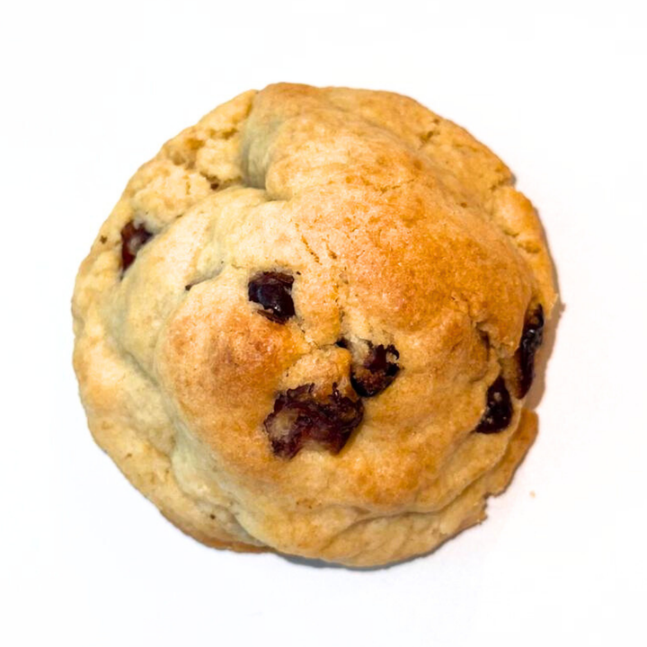 Website Image (1)