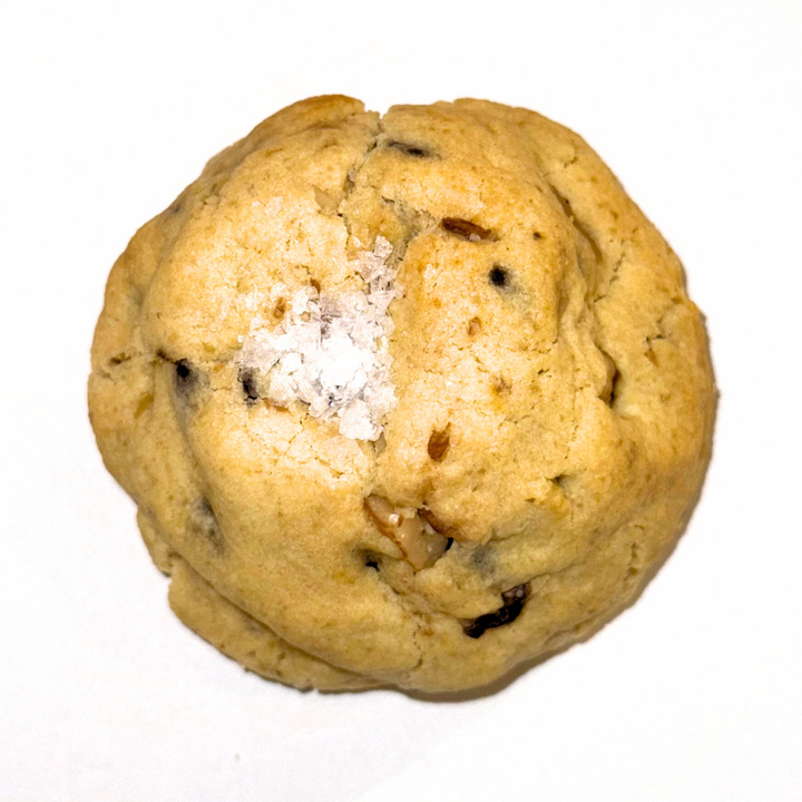 Website Image (4)
