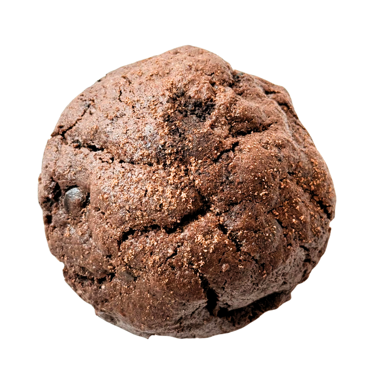 Website Image (11)